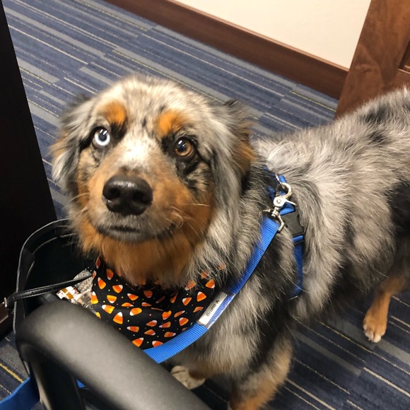 Welcome To LexIsMore Boutique and Alexa’s Closet! - Picture 4 of 8